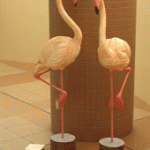 img-20101030_3