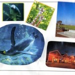 img-trip-h-260202