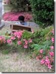 clip_image008.jpg
