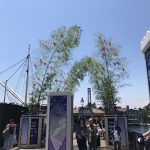 img_6250.jpg