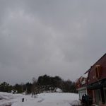 dsc_034671529486.jpg
