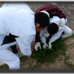 clip_image014.png