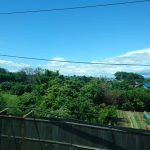 dsc_0411539356218.jpg