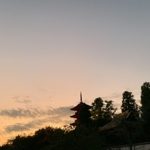 img_0803.jpg