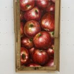 IMG_1482